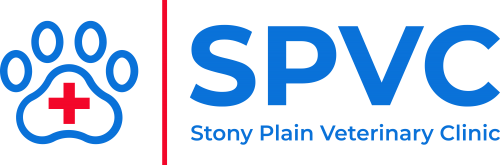 Stony Plain Vet Clinic