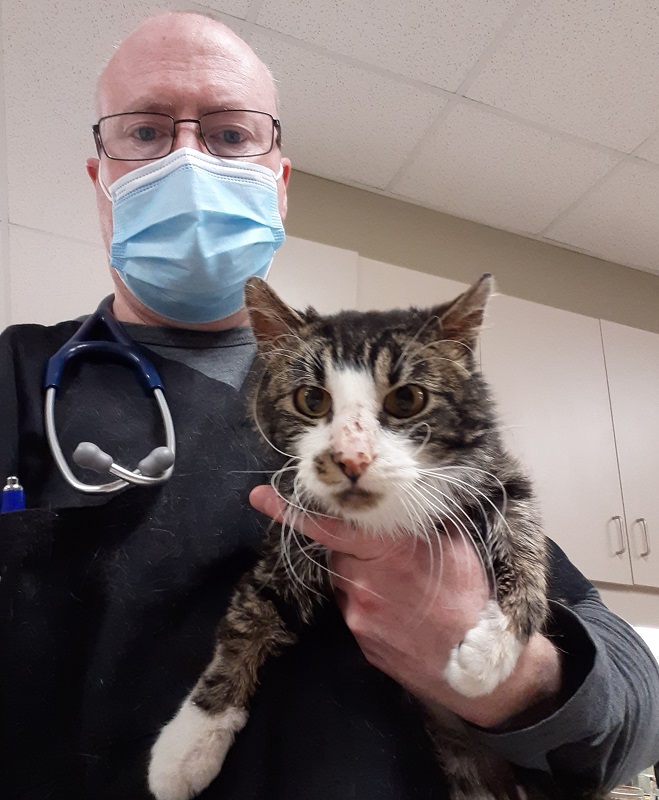 Our Staff Stony Plain Vet Clinic