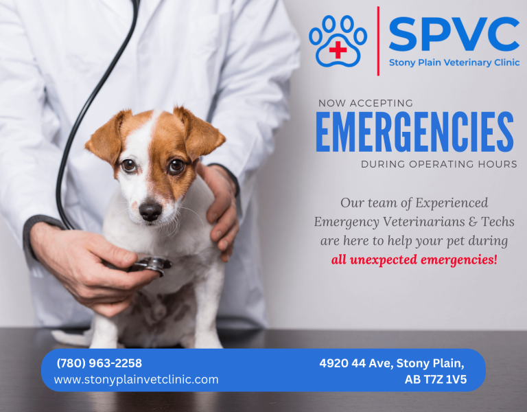 Veterinarian in Stony Plain, AB Stony Plain Vet Clinic